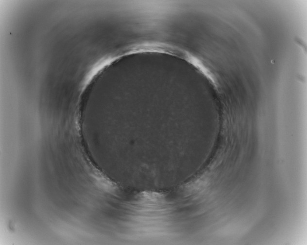 X0000099381312200805081437