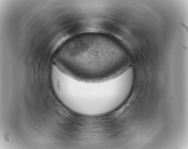 X0000099381314200805081437