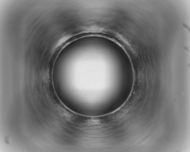 X0000099381315200805081437