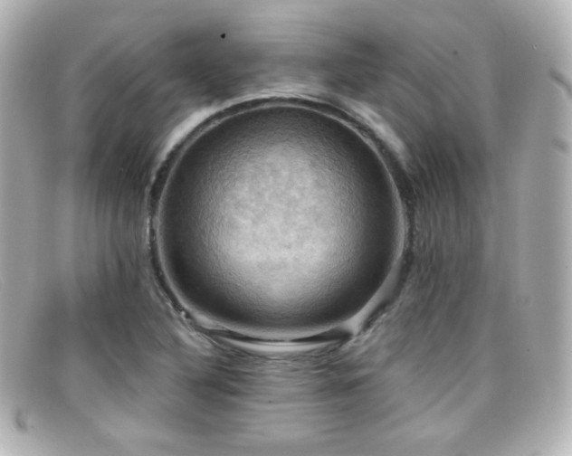 X0000099381316200805081437