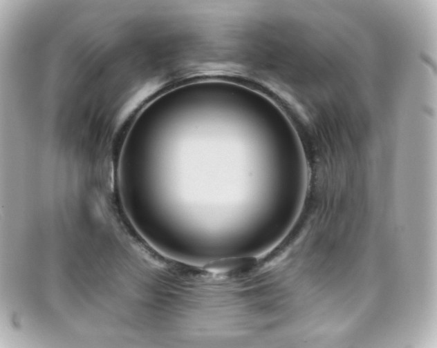 X0000099381317200805081437