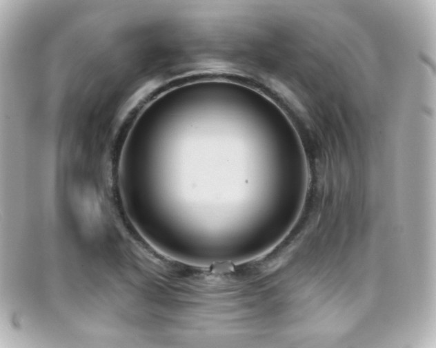 X0000099381318200805081437