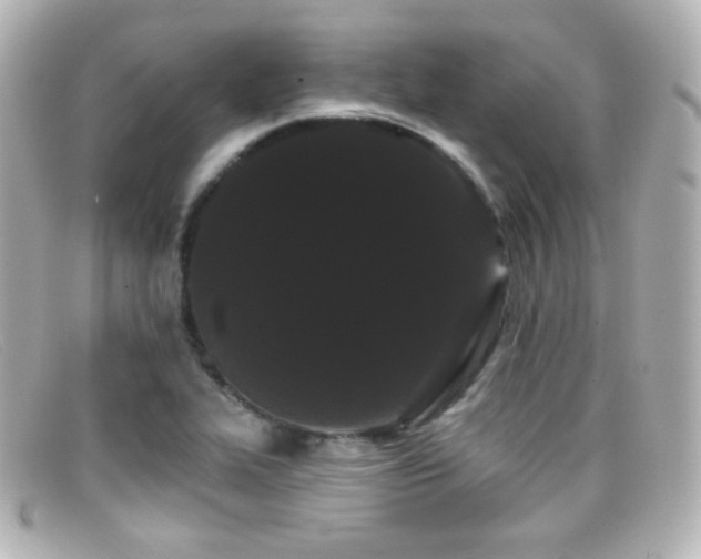 X0000099381319200805081437
