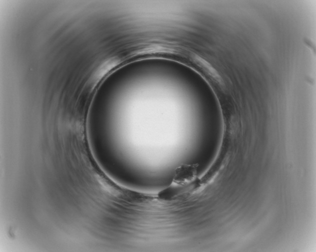 X0000099381321200805081437