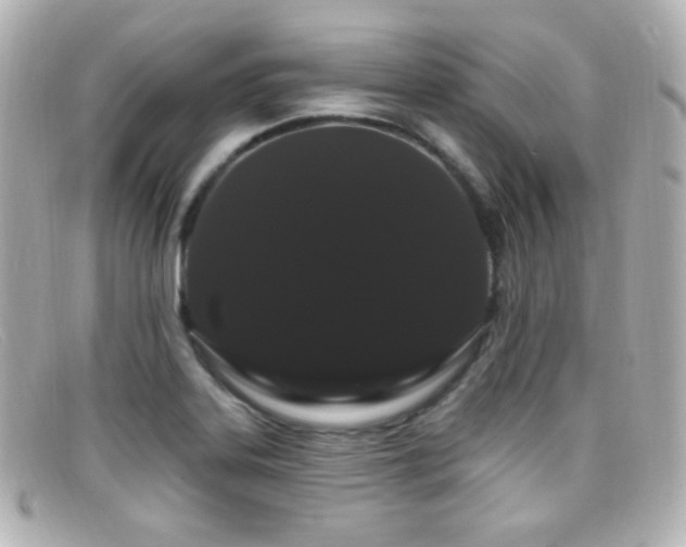 X0000099381323200805081437
