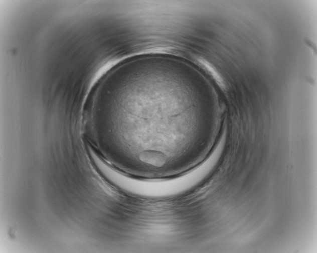 X0000099381324200805081437