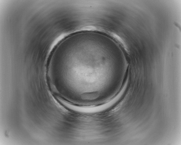 X0000099381326200805081437