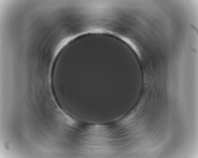 X0000099381327200805081437