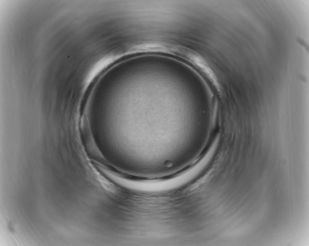X0000099381328200805081437