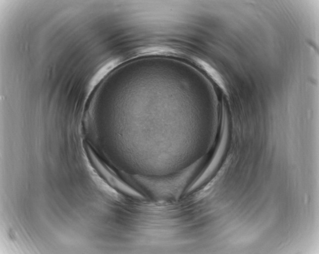 X0000099381330200805081437