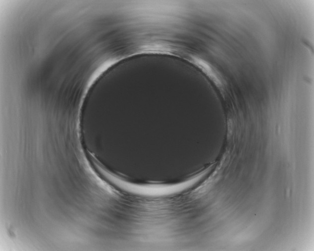 X0000099381331200805081437
