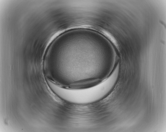 X0000099381332200805081437
