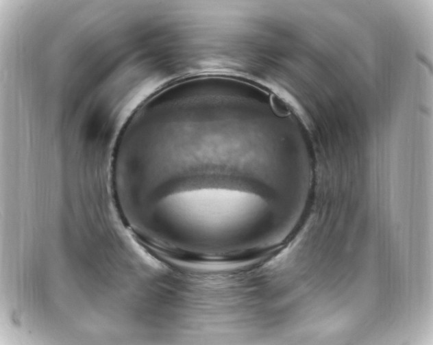X0000099381333200805081437