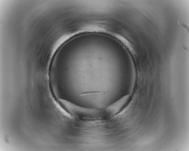 X0000099381335200805081437