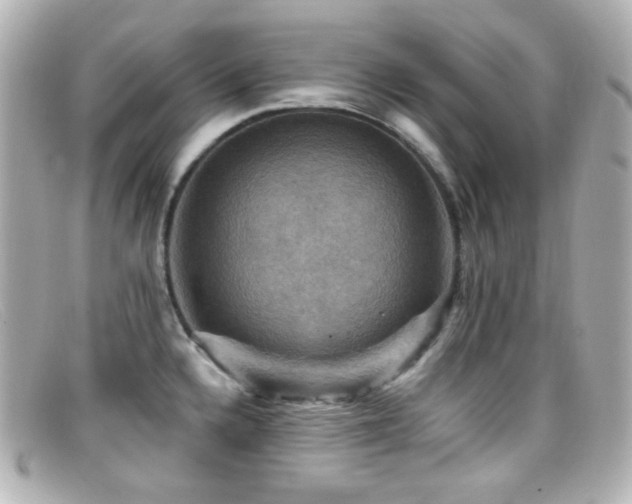 X0000099381336200805081437