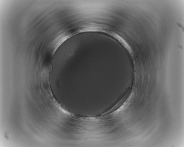 X0000099381337200805081437