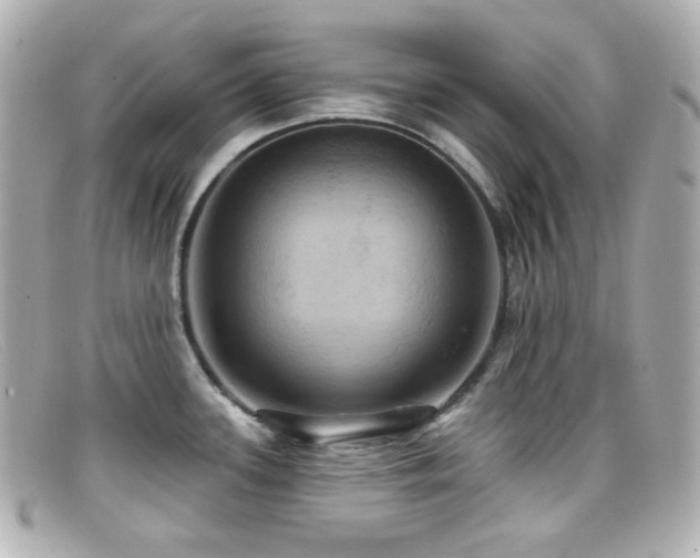 X0000099381339200805081437