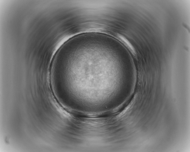 X0000099381340200805081437