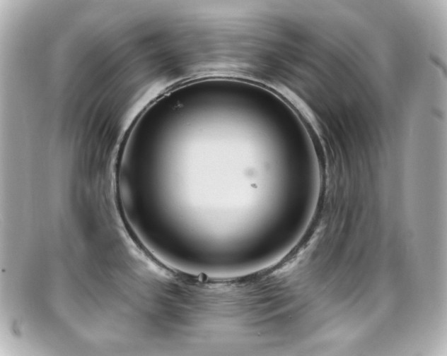 X0000099381341200805081437