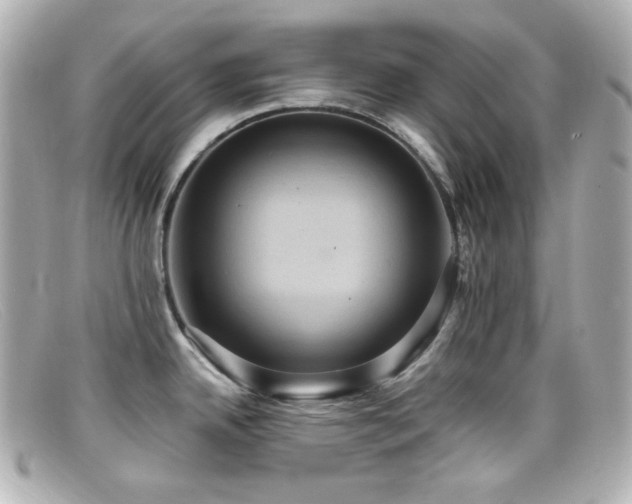 X0000099381342200805081437