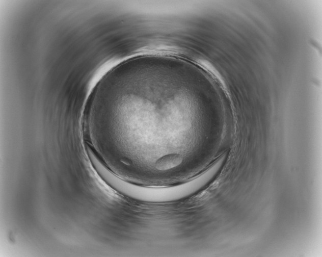 X0000099381344200805081437