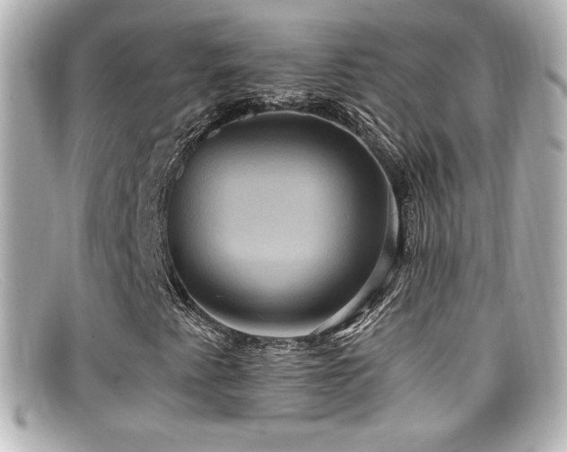 X0000099381345200805081437