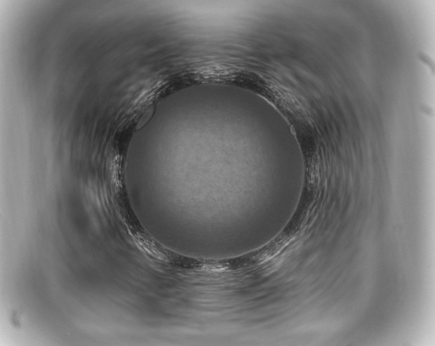 X0000099381346200805081437