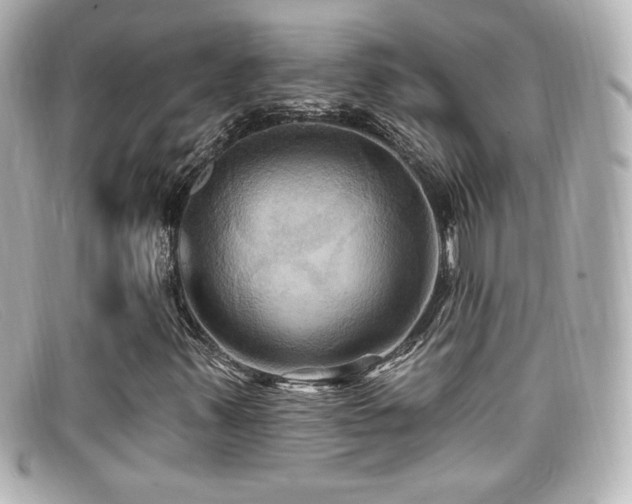 X0000099381347200805081437