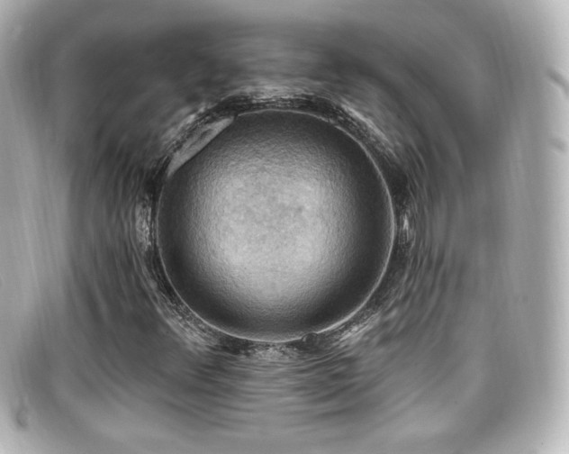 X0000099381348200805081436