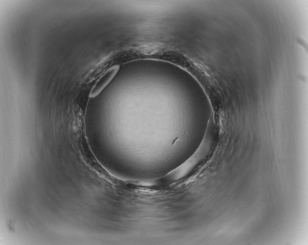 X0000099381349200805081436