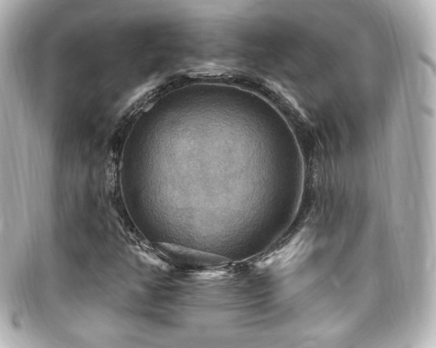 X0000099381350200805081436
