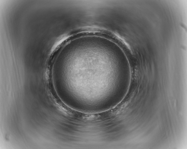 X0000099381352200805081436