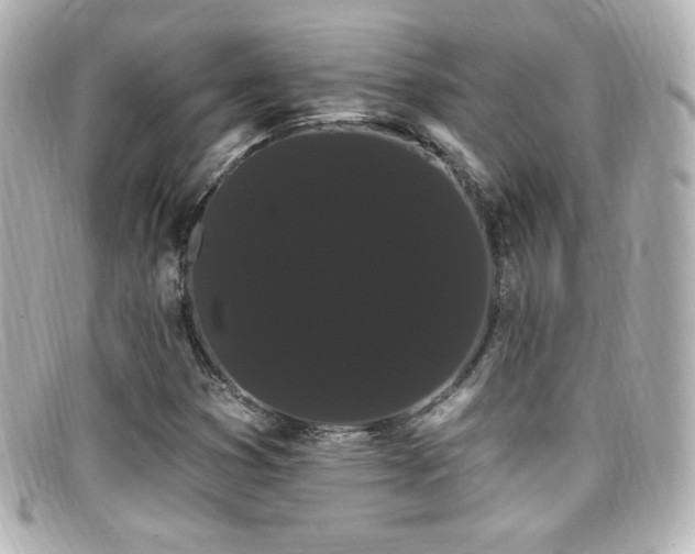 X0000099381353200805081436