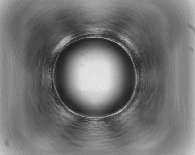 X0000099381354200805081436