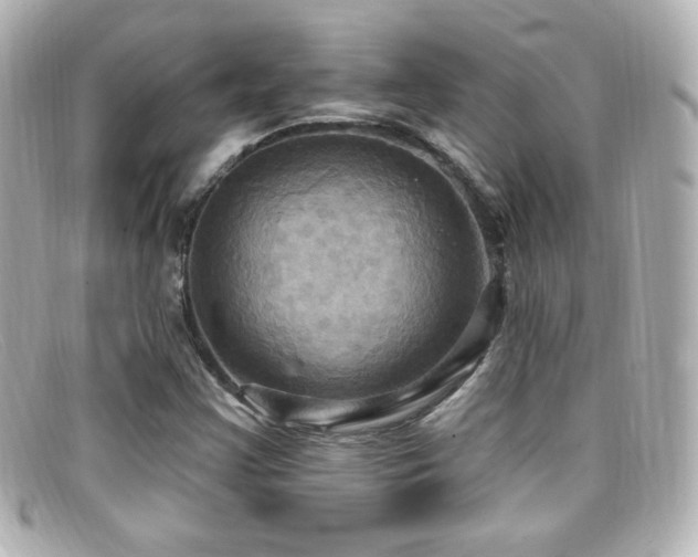 X0000099381355200805081436