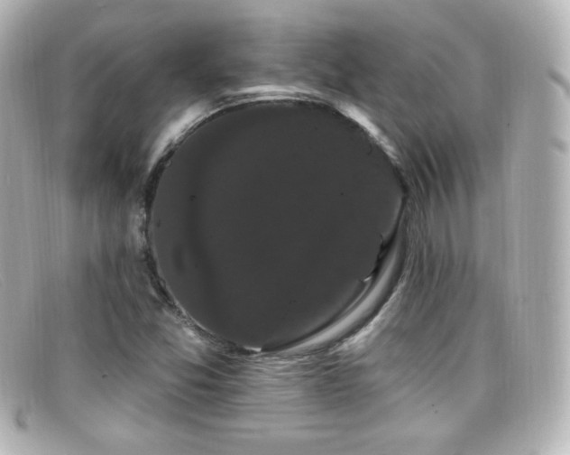 X0000099381357200805081436