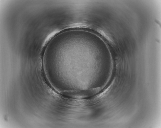 X0000099381358200805081436