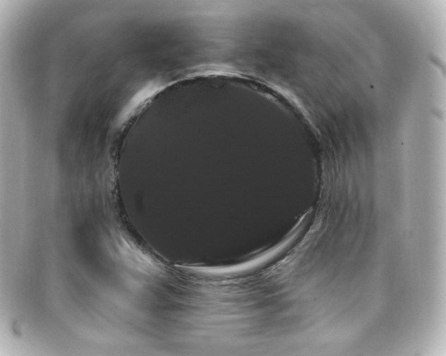 X0000099381359200805081436