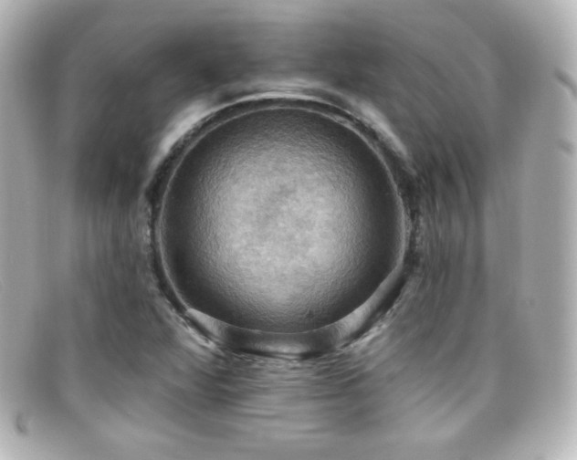 X0000099381360200805081436