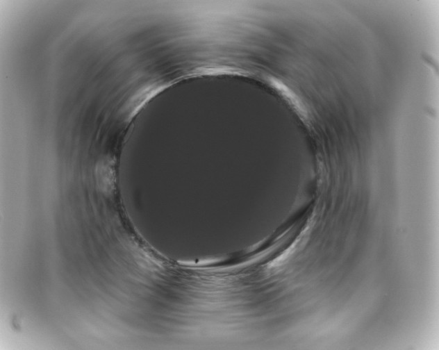 X0000099381361200805081436