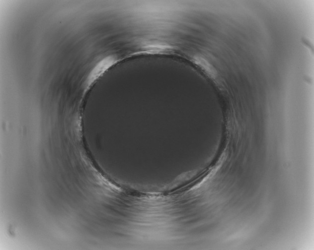 X0000099381362200805081436