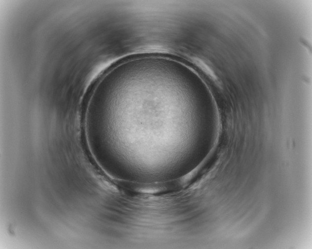 X0000099381364200805081436