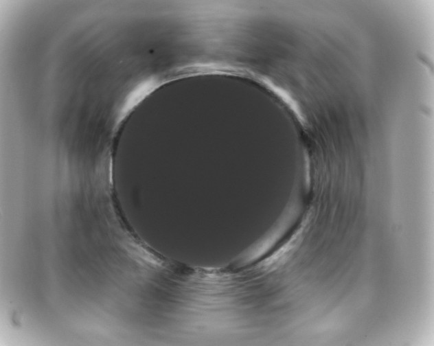 X0000099381365200805081436
