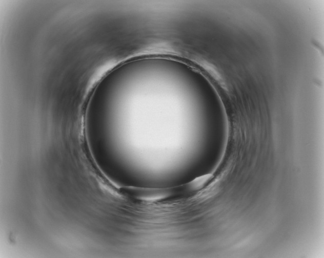 X0000099381366200805081436