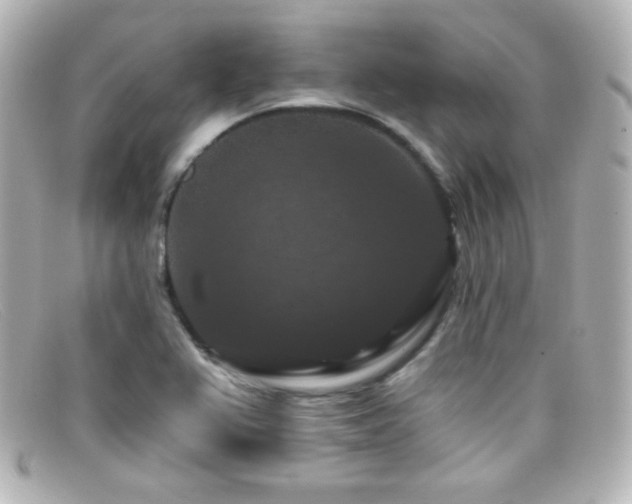 X0000099381367200805081436
