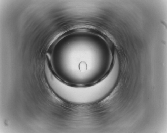 X0000099381369200805081436