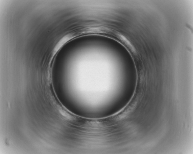 X0000099381370200805081436