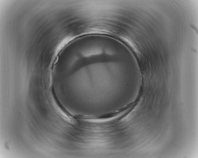 X0000099381371200805081436