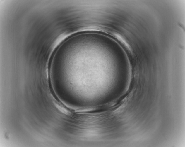 X0000099381372200805081436