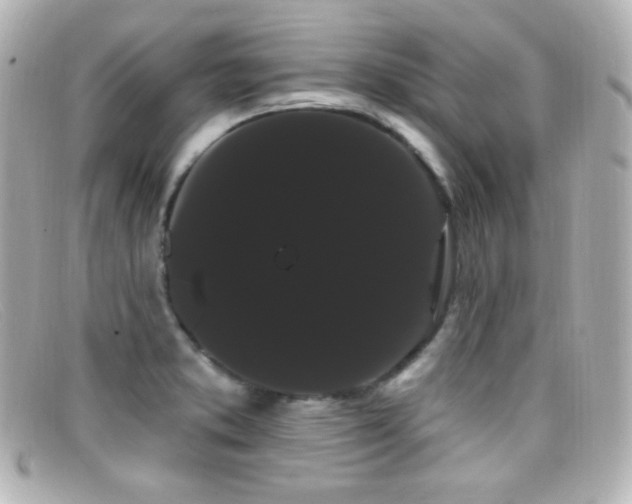 X0000099381373200805081436